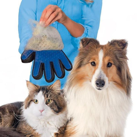 PetDudes™ Brushing Gloves - PetShopDudes